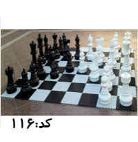 شطرنج بزرگ همگانی